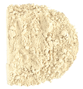 C484X Golden Flaxseed Defatted Flour