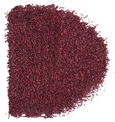 C102 Blackcurrant Seeds